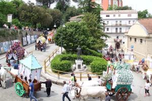Carrese in onore di San Pardo